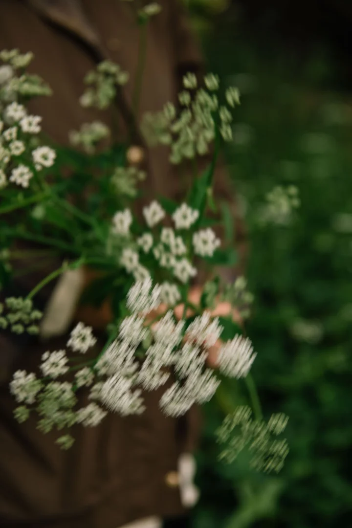 Thumbnail of - 