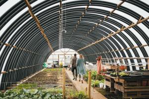 "Veltan" in Sandoy. Sustainable farming in the Faroe Islands.