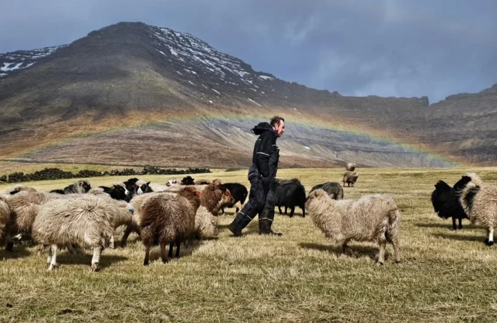 Leitisgarður á Viðareiði