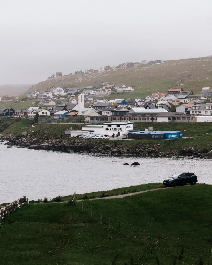 Føroya Sjósavn
