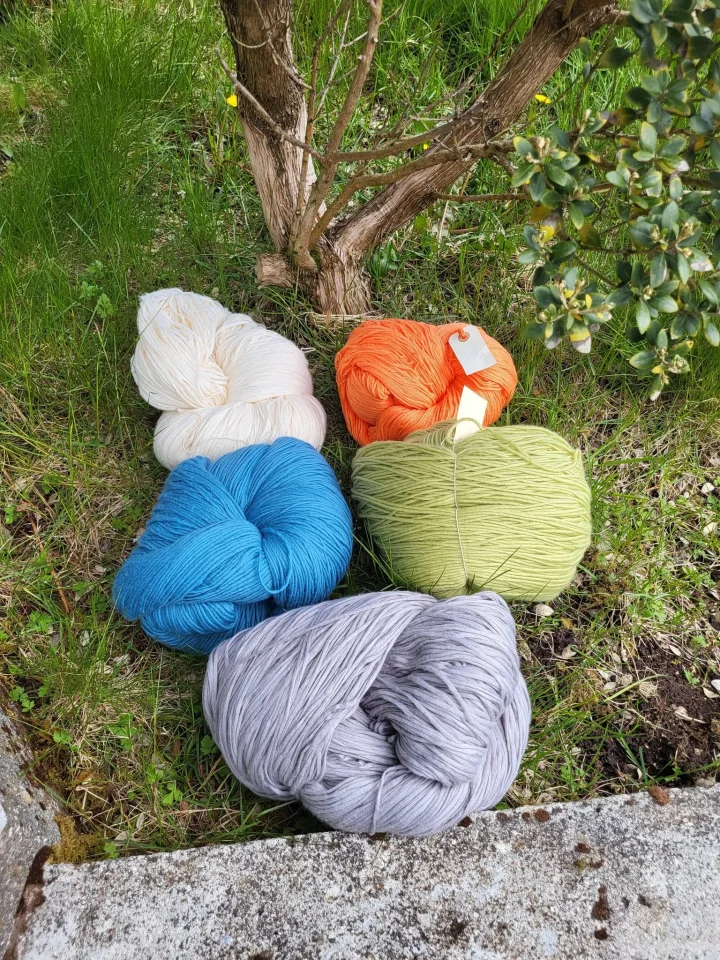 Tógvsølan í Havragerði