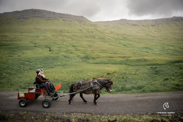 Garðurin Við Rangá