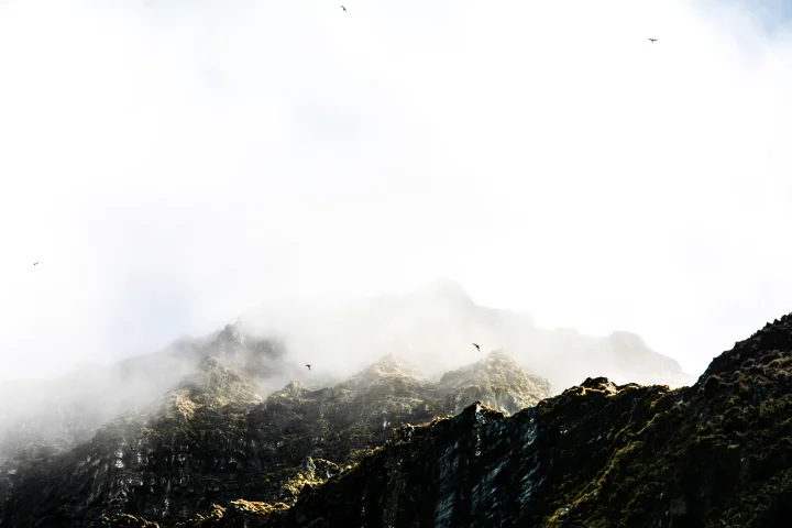 Thumbnail of - 